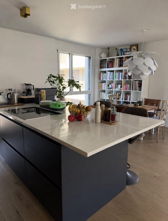 Magnifique 3 pièces de 150 m² avec terrasse - Parc des Crêts 3