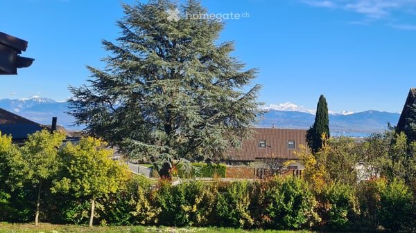 Belle maison récemment rénovée de 8.5 pcs avec grand jardin 2