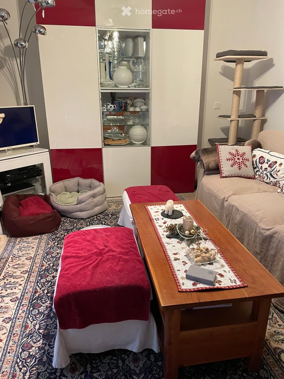 Chambre à louer dans un trois pièces avec chien et chats 3