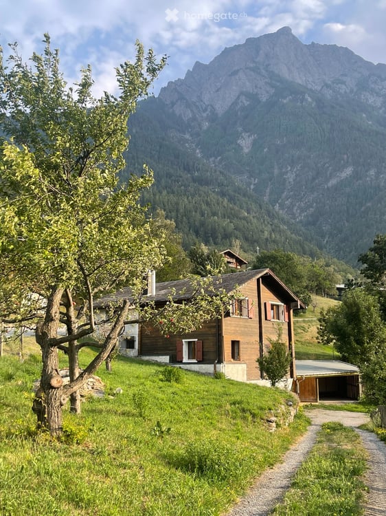 Einfamilienhaus im Grünen 1