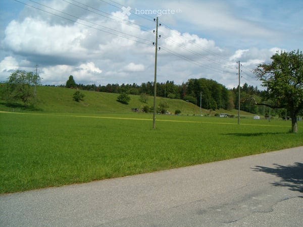 6 Zimmer Haus - ruhig / herrliche Aussicht (bei Langenthal) 2