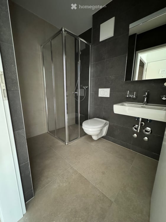 Magnifique appartement 2.5 pièces avec grande terrasse 6