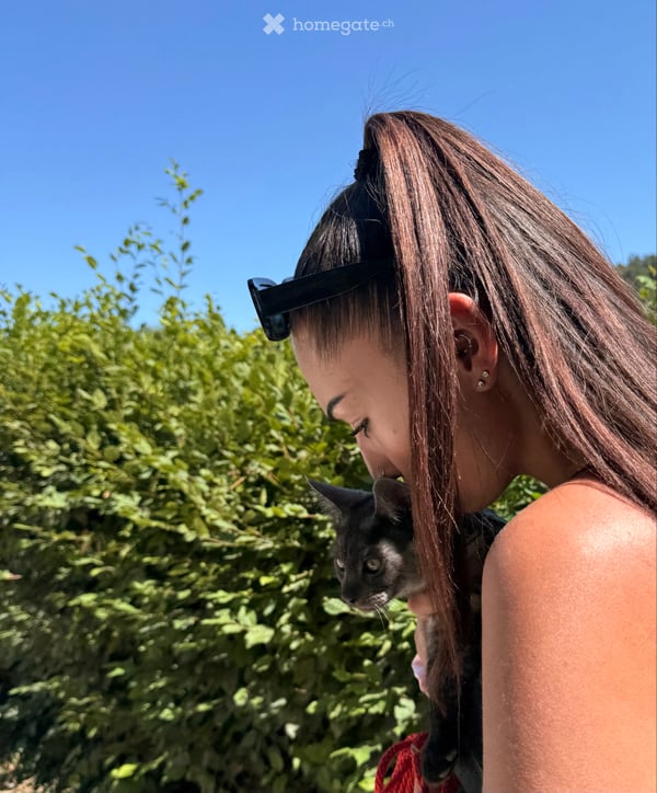 Recherche colocataire 2535 ans Fribourg 6