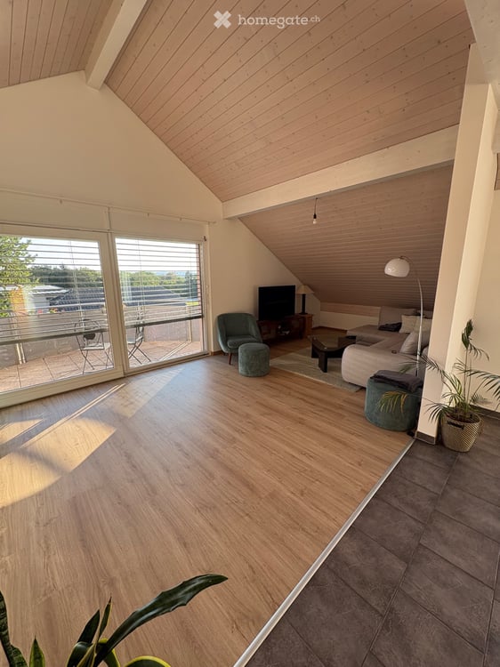 Appartement 5,5p Chatonnaye 1