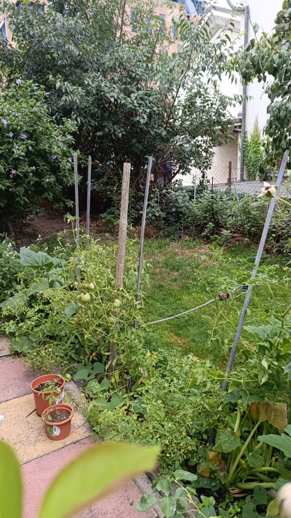 Appartement 1.5 pièces avec grand jardin 4
