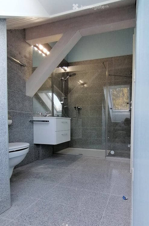 Magnifique villa d'architecte, proche de Lausanne 6