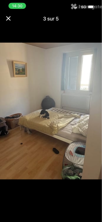 Appartement 1,5 pièce à Moutier 3