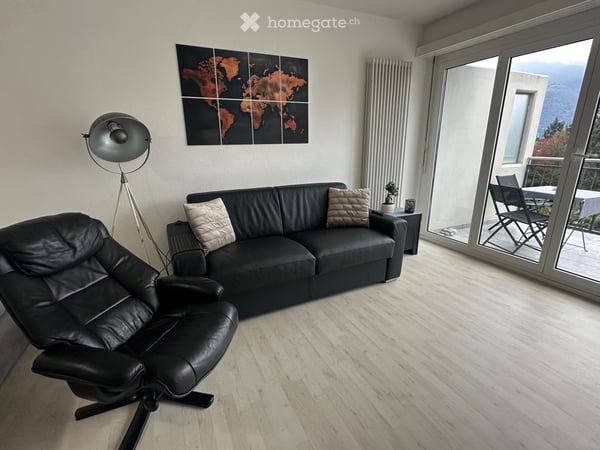Lake & Mountain View - beautifully 2.5-room Attic - Minusio 2