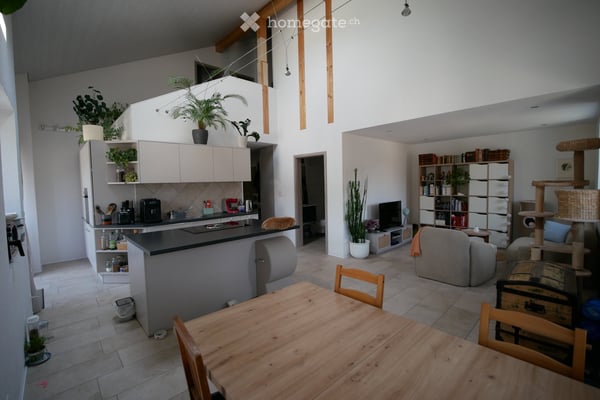 Appartement en duplex de 1,5 pièces 1