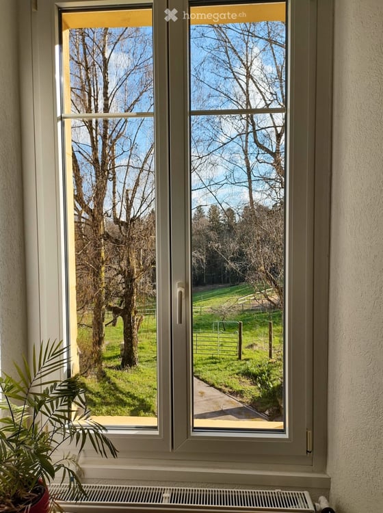 Spacieux 3,5 pièces rénové, jardin, cave, garage et parking 4