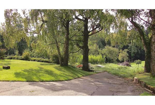Spacieux 3,5 pièces rénové, jardin, cave, garage et parking 5