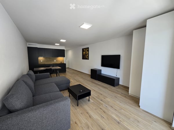 Grand studio neuf, meublé et équipé de 40 m² - 1908 Riddes 1