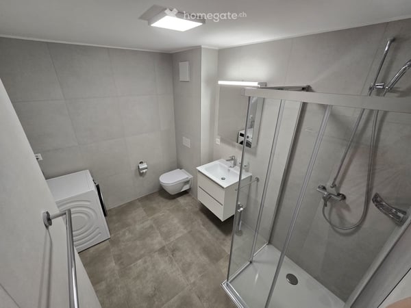 Grand studio neuf, meublé et équipé de 40 m² - 1908 Riddes 3