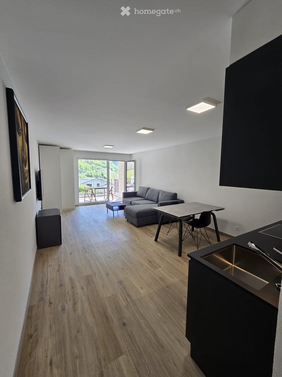 Grand studio neuf, meublé et équipé de 40 m² - 1908 Riddes 2
