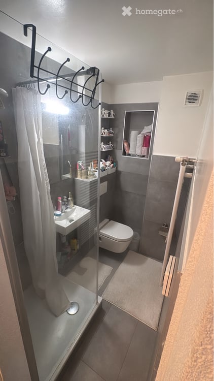 1,5 pièces en centre ville 4