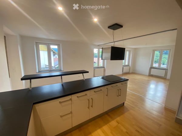Appartement avec grande terrasse à louer 6