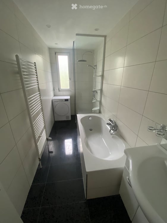 Appartement avec grande terrasse à louer 1