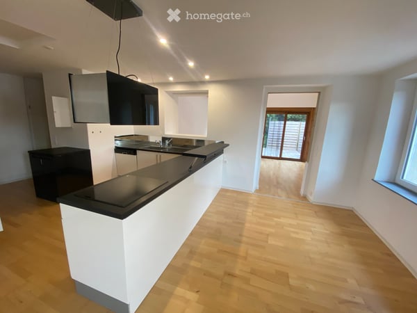 Appartement avec grande terrasse à louer 5