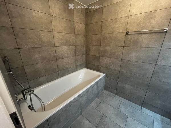 1.5 pièces neuf avec jardin  à 5 min de Romont 10