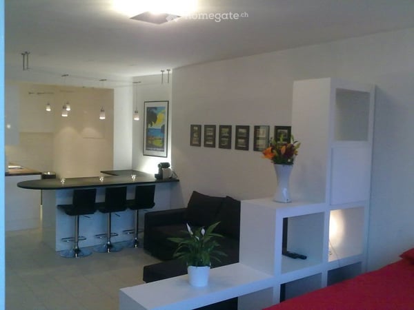 Eaux Vives Large Studio 1 Block from Lake 5