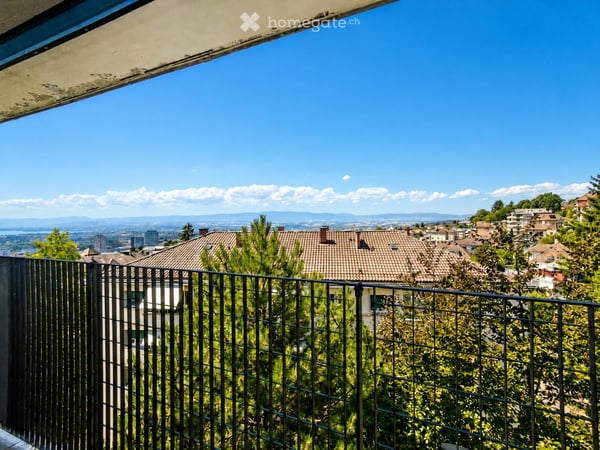 Colocation Grand Duplex vue sur lac et jura 4