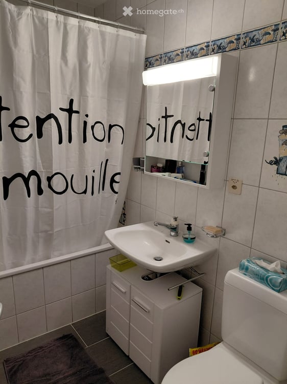 Colocation à Champlan (VS) 5