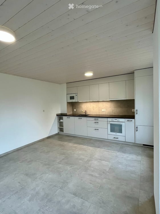 Spacieuse maison avec grand jardin et serre 2