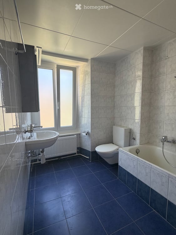 Appartement de 3,5 pièces dans petit immeuble 4