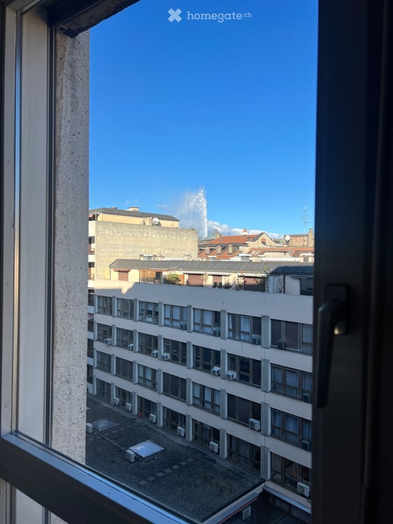 LEASE TAKEOVER Exceptional 5-Room Apartment /Eaux-Vives 4