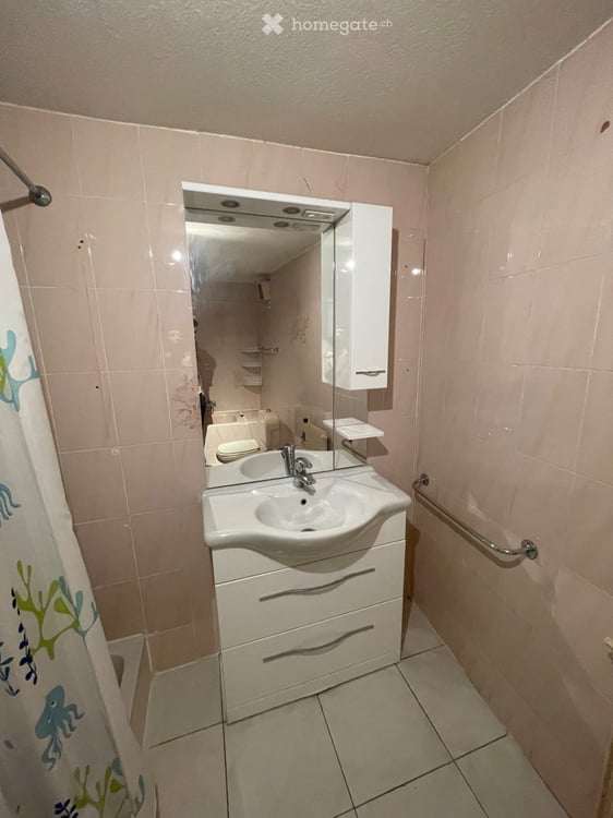 Appartement St-Maurice 3