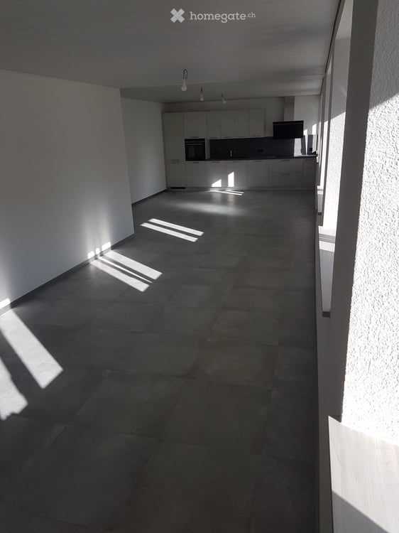 Appartement entièrement rénové, lumineux, 3,5 pièces 5