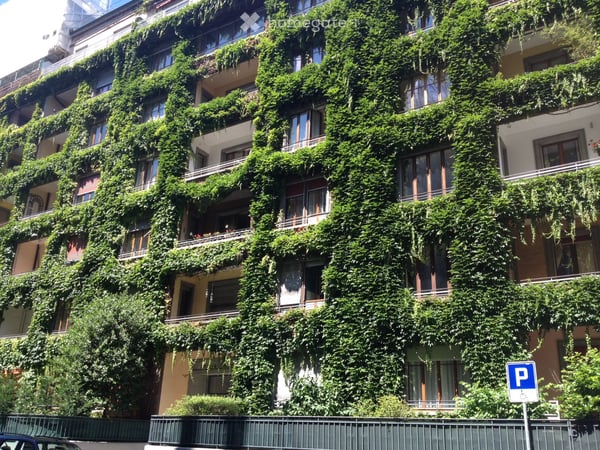 Champel Appartement de 2 pièces meublé et équipé 1