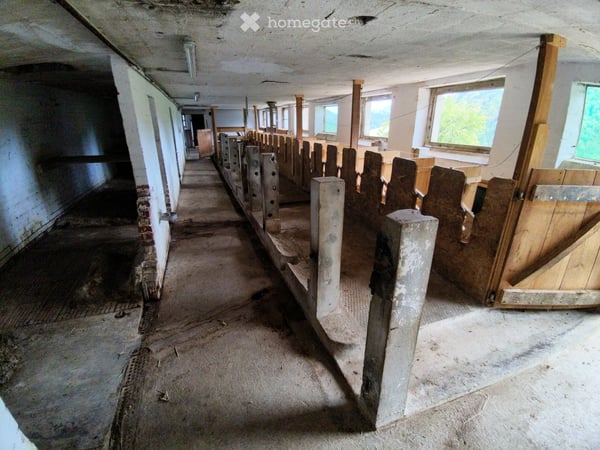 Ancienne ferme en pleine nature / Ehemaliges Bauernhaus 2