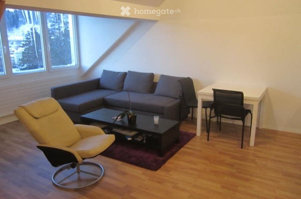 Bel appartement récent dans les combles 1
