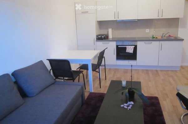 Bel appartement récent dans les combles 2