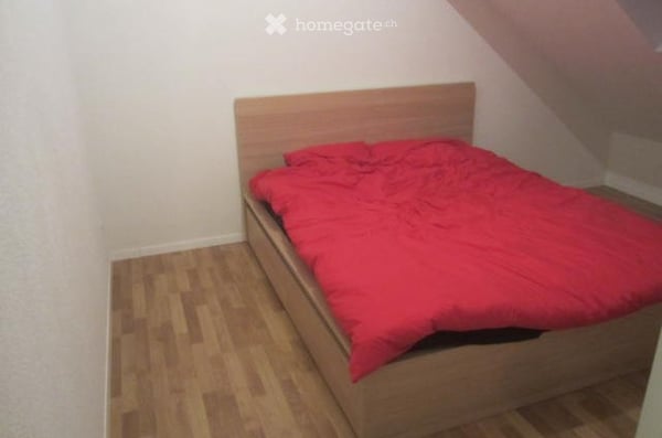 Bel appartement récent dans les combles 3