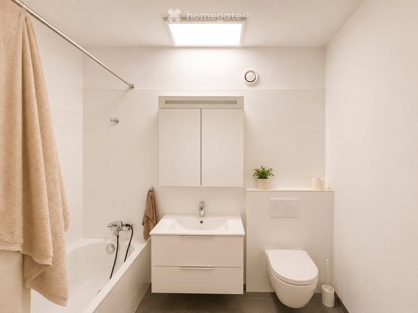 Charmant appartement meublé en attique à Coppet 5