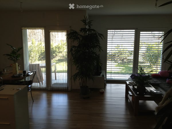 Location 2,5 pièces Sion bord du Rhône 3