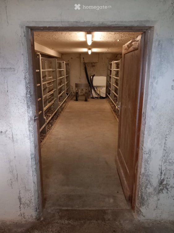 Grosser Keller / Lagerraum mit gutem Zugang 1