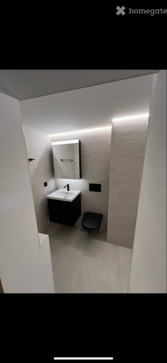 À louer magnifique appartement 1.5 pièces en duplex 3