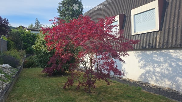 Villa avec grand jardin de 814 m² 3