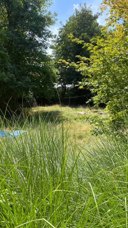Voll möbliertes 7.5-Zimmer-Haus in Spiegel 1