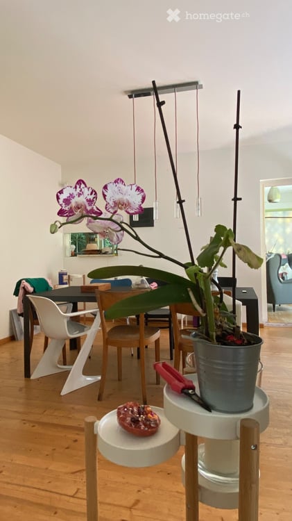 Voll möbliertes 7.5-Zimmer-Haus in Spiegel 2