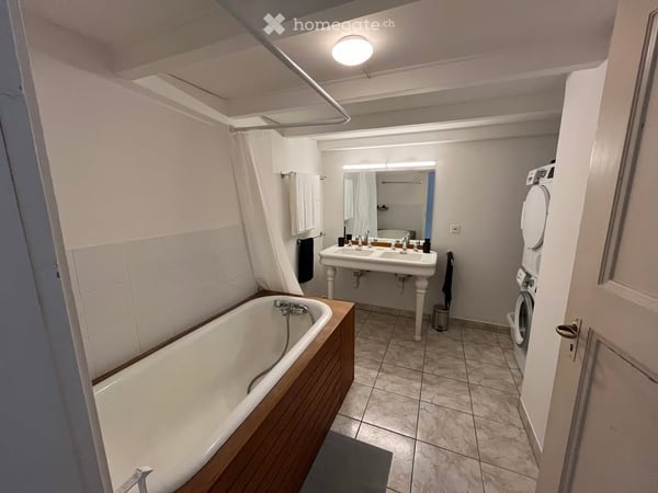 Grand appartement de 1,5 pièces avec mezzanine bien situé 4