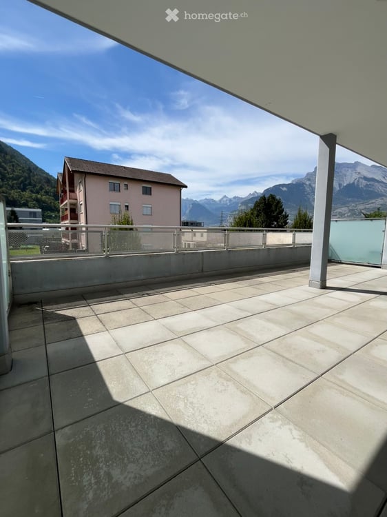 1.5 pièces avec grande terrasse 6