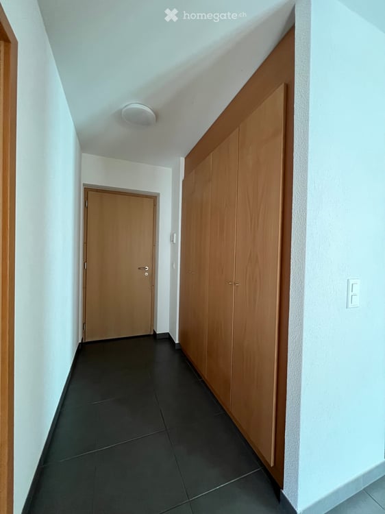 1.5 pièces avec grande terrasse 10