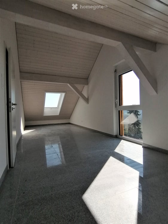 villa d'architecte à louer, proche de Lausanne 9