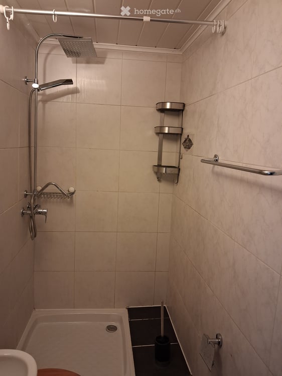 appartement 2,5 pièces vieille vielle 1