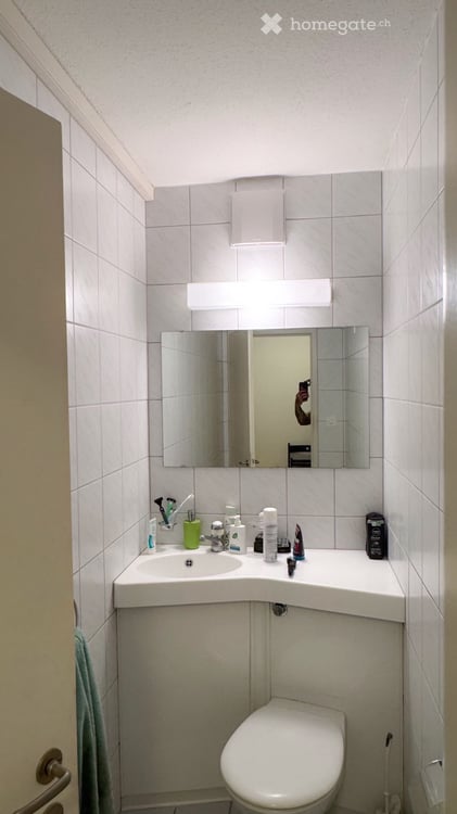 Zimmer in einer 5.5-Zimmer-Wohnung in Dübendorf zu vermieten 4