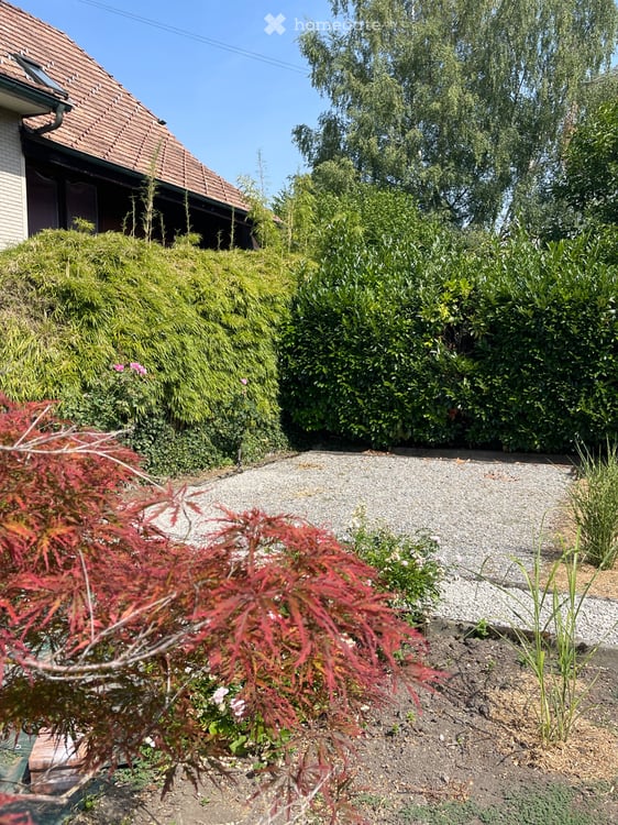 1.5 Zimmer Wohnung in ruhiger Lage 5